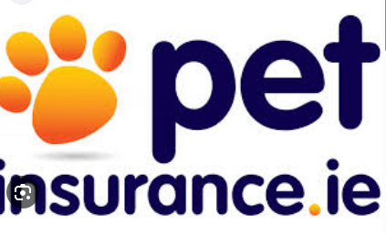 Pets Insurance Review in the USA: Everything You Need to Know